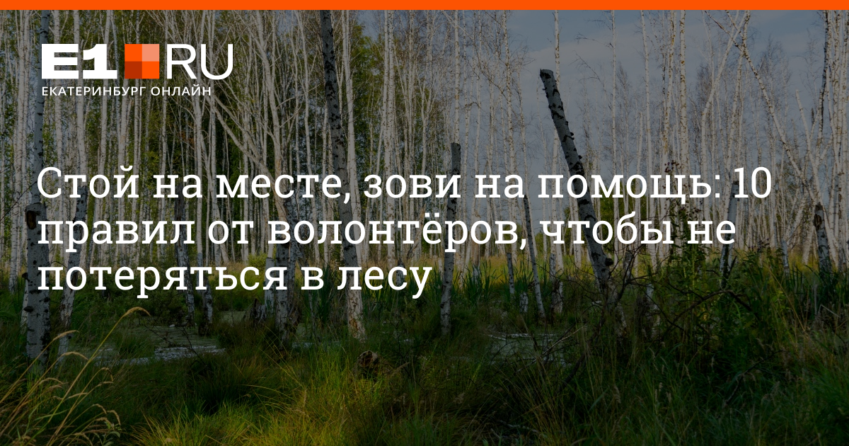 Приложение чтобы не потеряться в лесу. Каким голосом нужно звать на помощь в лесу. к паустовский чтобы не заблудиться в лесу.