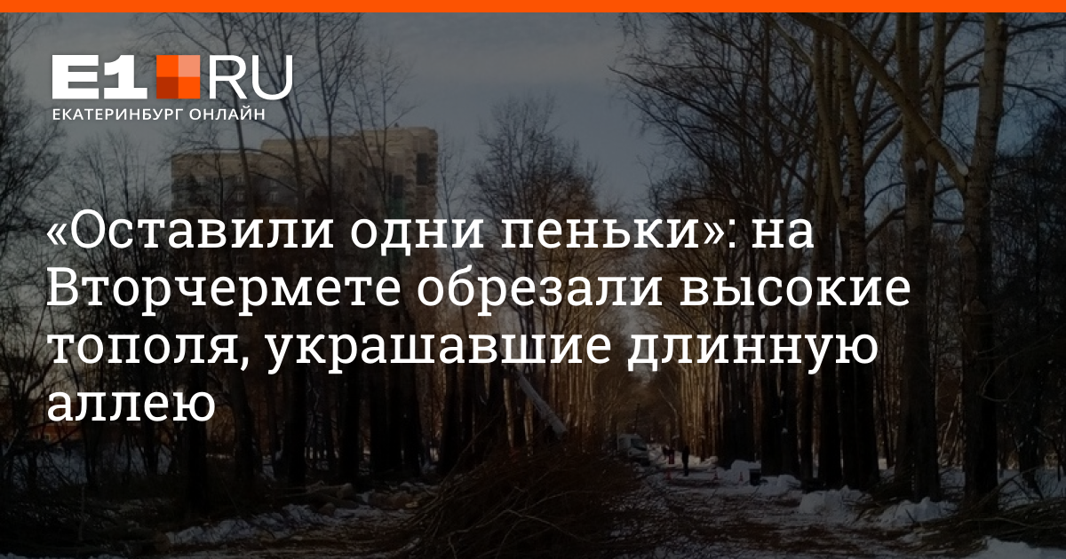 Порой высокие тополя шумно вздохнул взбудораженной. Порой высокие тополя шумно вздохнул взбудораженной
