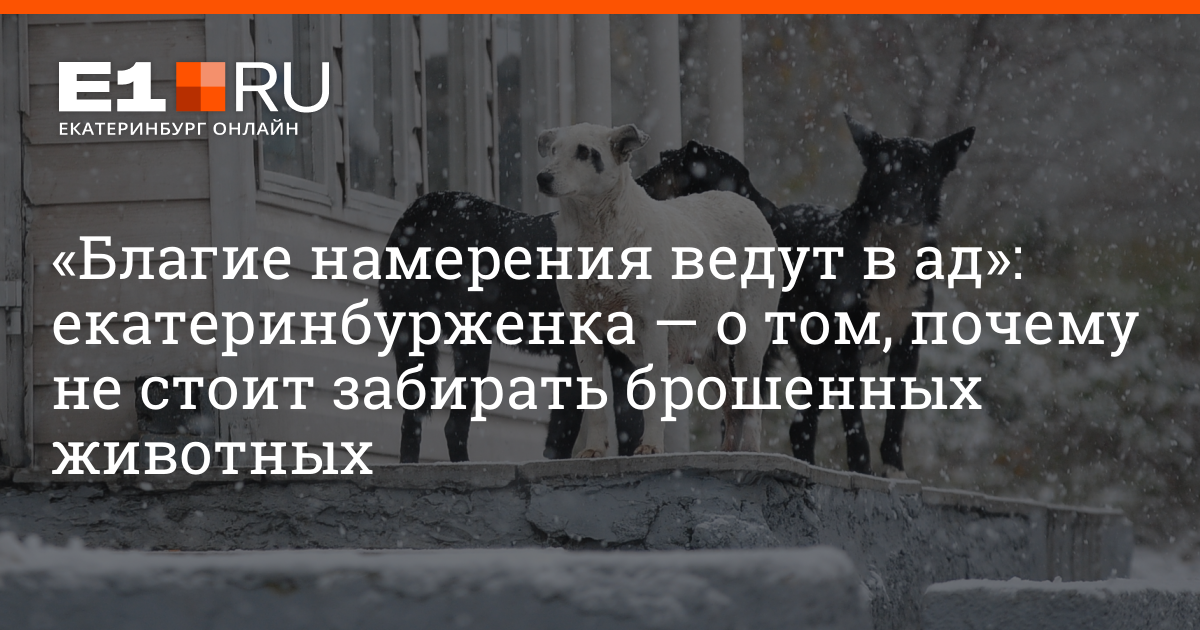 Усыпление животного грех. Усыпление животного грех
