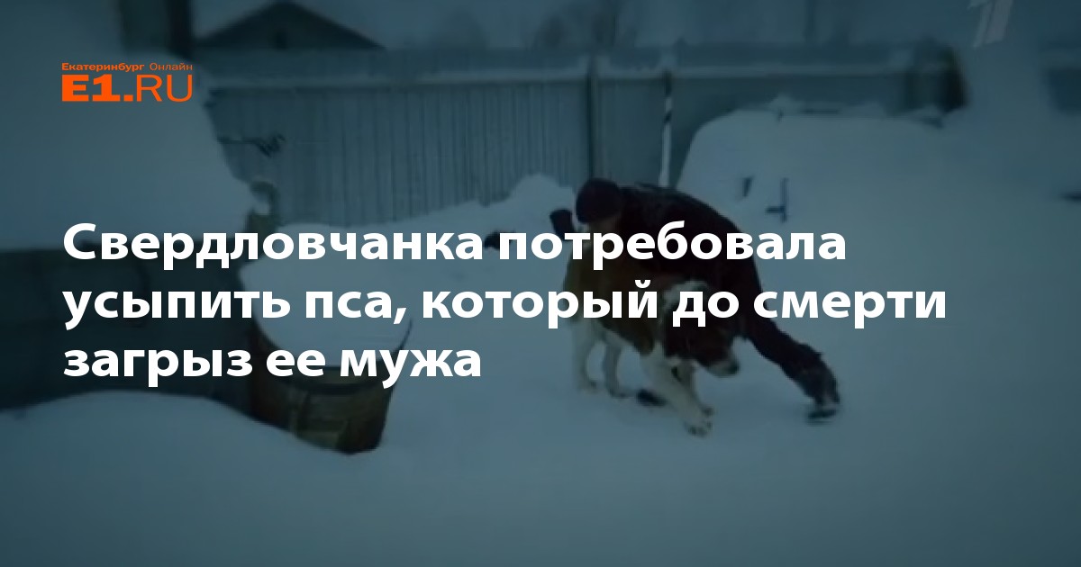 Снится умершая собака хозяину живой. Усыпить собаку в Екатеринбурге.