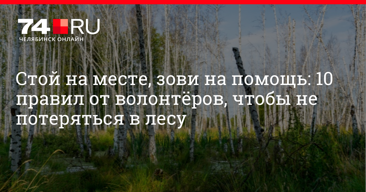 Кто зовет в лесу. Каким голосом нужно звать на помощь в лесу. К Паустовский чтобы не заблудиться в лесу.