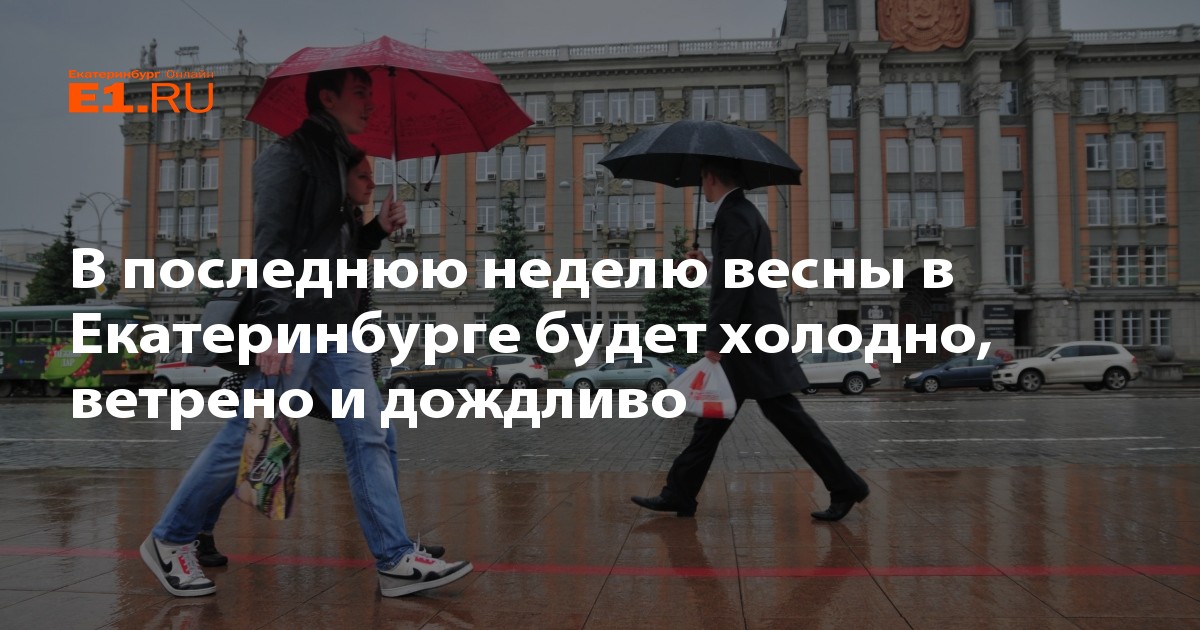 Прошел холодный ветреный. Штормовое предупреждение. Бердянск будьте же людьми. Дерево на ветру. Ветер зимой.
