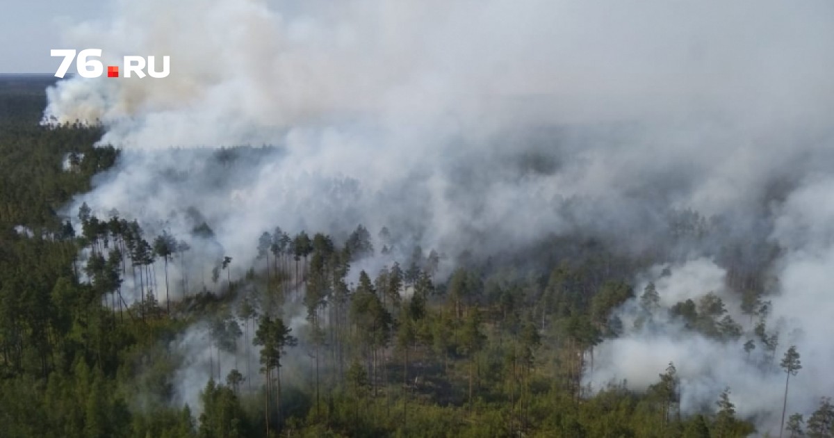 Воняет гарью. Дым от лесных пожаров. Лесной пожар дым. Природный смог. Пожары во Владимирской области.