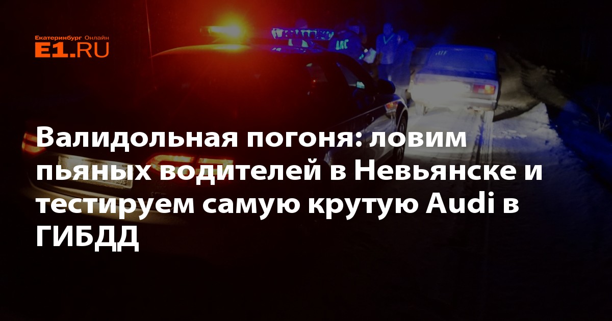 гонятся ловят выберите ряд. полиция гонится. кошка на охоте. за двумя зайцами пословица. дети бегут.