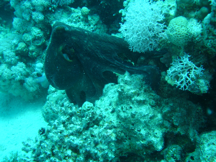 DSC05622.JPG