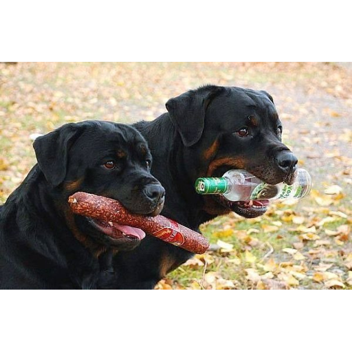 настоящие приколы. шутки для друзей. демотиваторы про мужчин смешные. приколы про друзей. настоящий друг демотиватор.