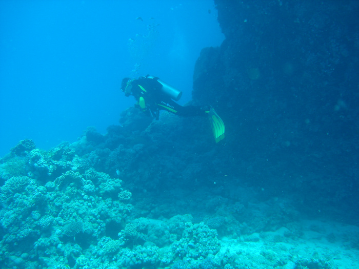DSC04099.JPG
