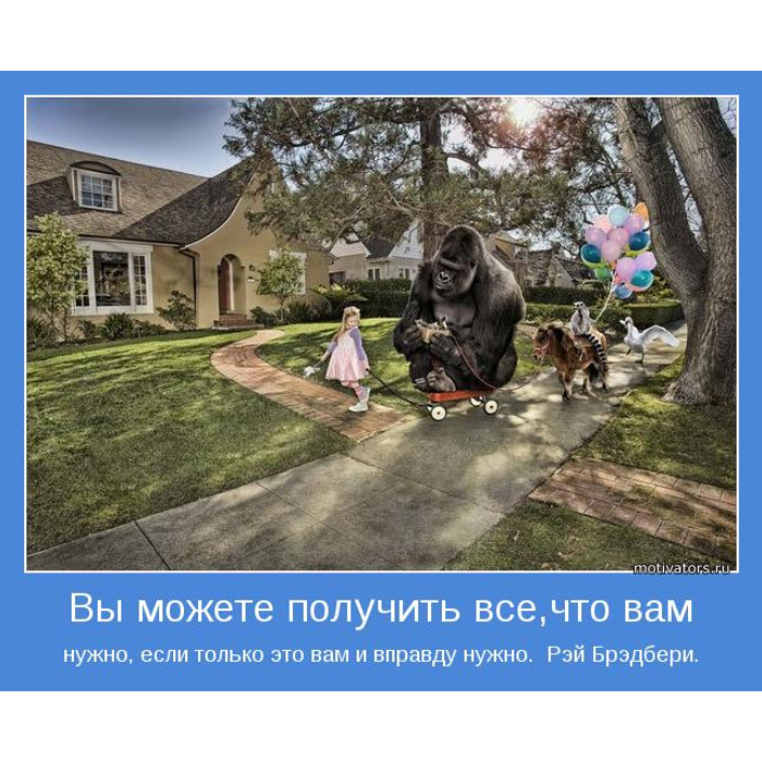 Все это вы можете получить