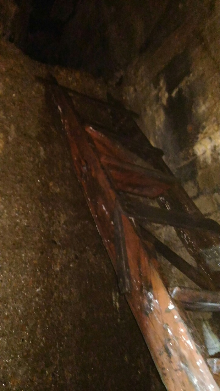 image-0-02-01-7d74e03491c4ad650582f8b7eb41475ee13ff5b1c60eea0152ebf2c2d9637bba-V.jpg
