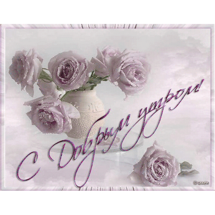 Доброе утро нежность моя. Красивые открытки с добрым утром любимому. Фото с добрым утром любимая. Доброе утро нежность моя. Доброе утро нежность моя.