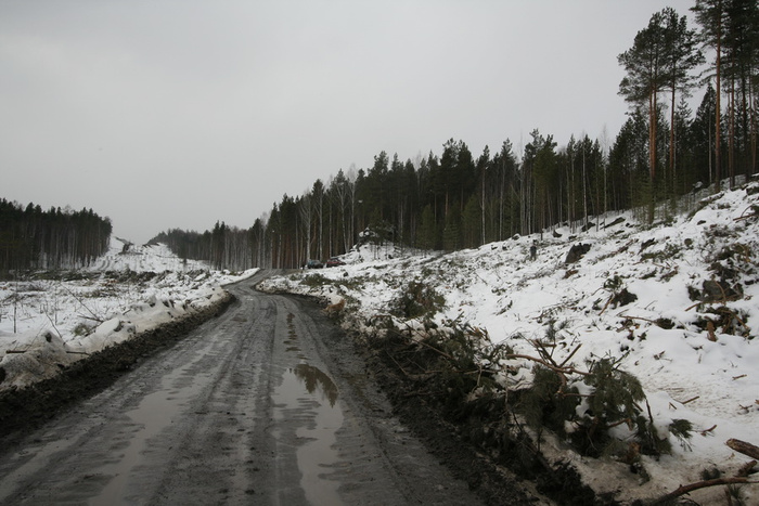 _MG_0738.JPG