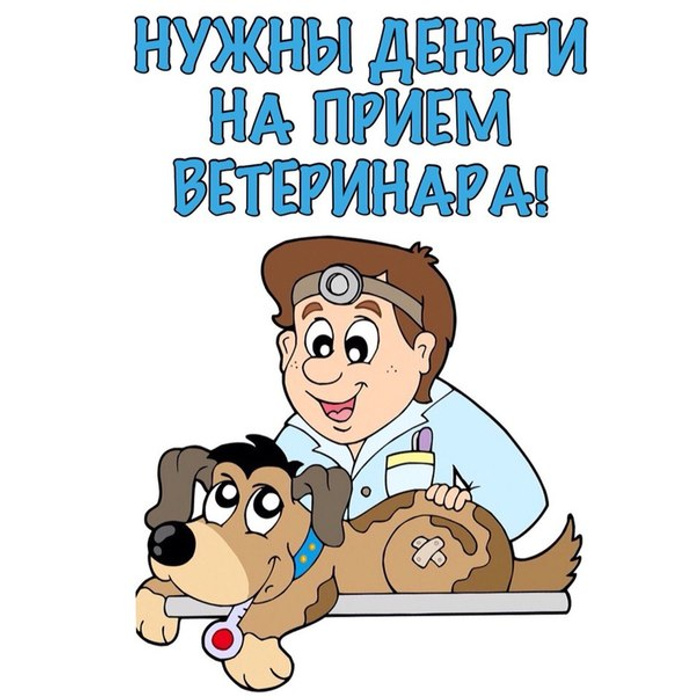 Ветеринар по английски