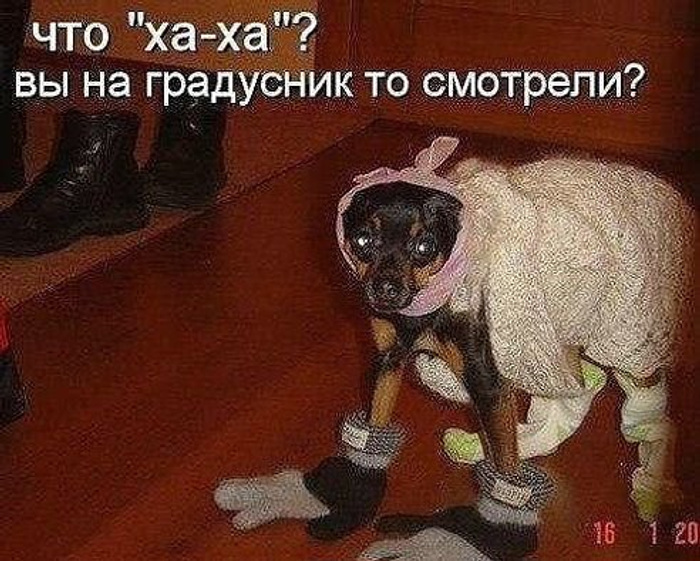 Сибирская деваха даже на морозе не стесняется сосать Сибирская деваха даже на морозе не стесняется сосать