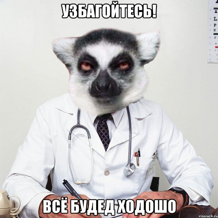 Мем узбагойся картинки какое животное