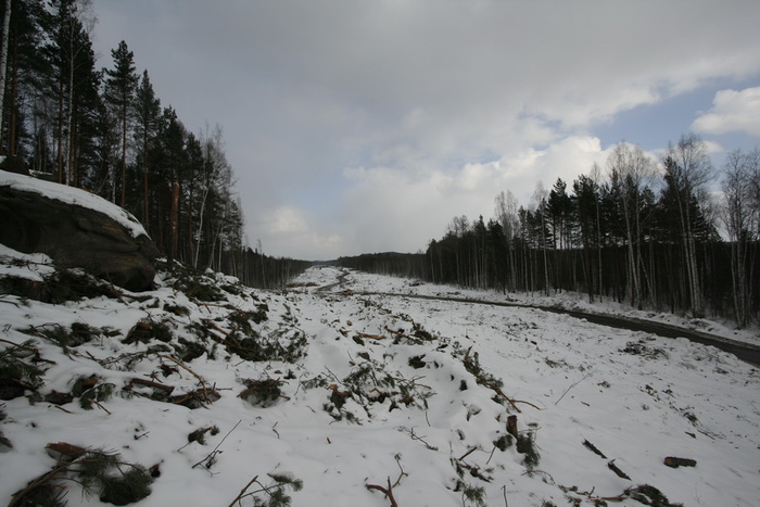 _MG_0741.JPG