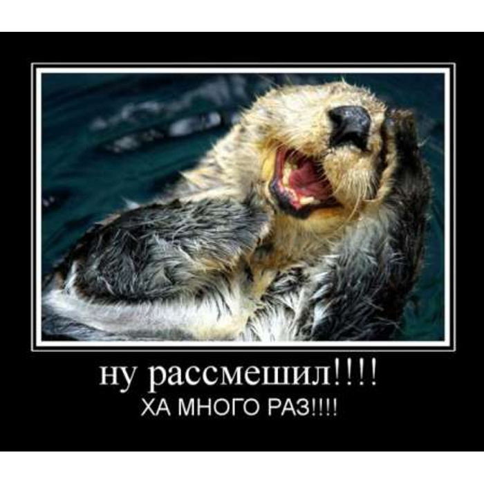 Ой насмешила. Ой насмешили. Насмешили открытки. Ой насмешили. Ха ха рыжик.