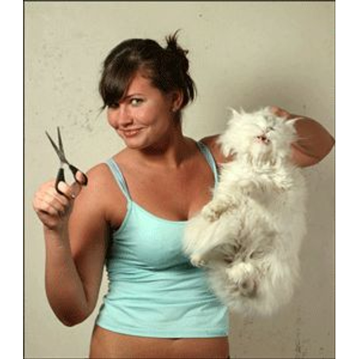 кострированая девушка. девушка кастрирует. девушка кастрирует. женщины кастрируют мужчин. женщины кастрируют мужчин.