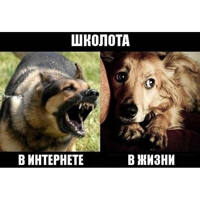 Злая и добрая собака мем