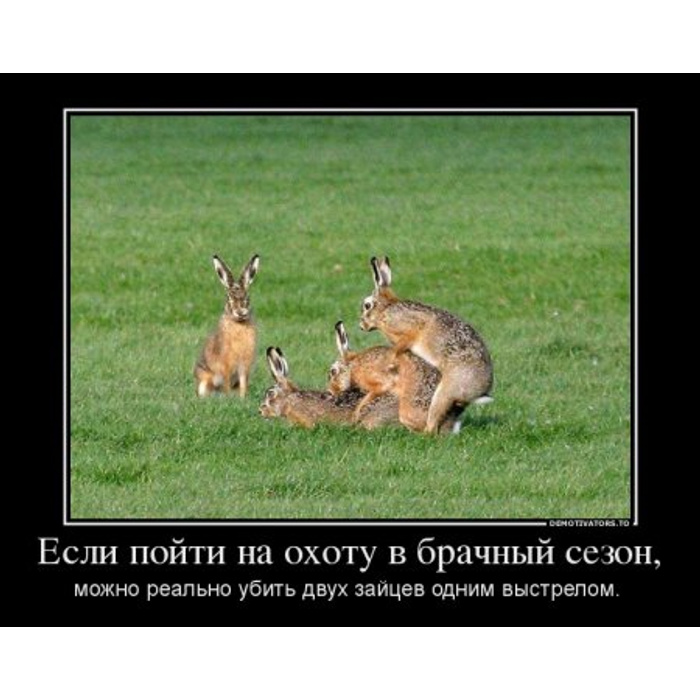 Заяц и девушка мем