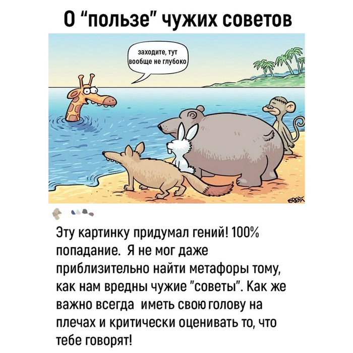 3199a06de35192129af95ac6d5fecbb10ca08ce5_700_700.jpg