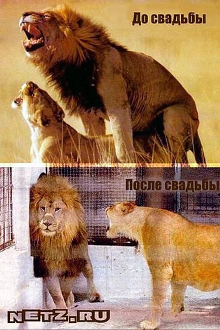 Есть Ли Секс После Свадьбы Есть Ли Секс После Свадьбы