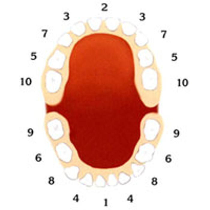 В каком порядке выпадают молочные зубы у детей схема. 5 зуб снизу молочный или постоянный. Презентация на тему молочные зубы. Выпадают молочные зубы у ребенка. Молочные 2 зубы.