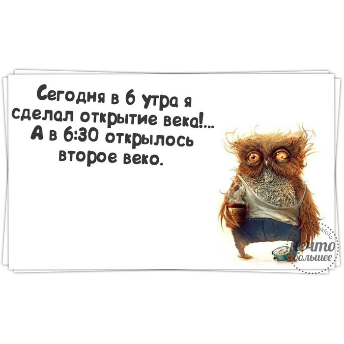 Высыпается ли человек. Куда высыпаюсь. Сова высыпаюсь куда высыпаюсь. Сова ты высыпаешься. Ты высыпаешься куда высыпаюсь картинка.