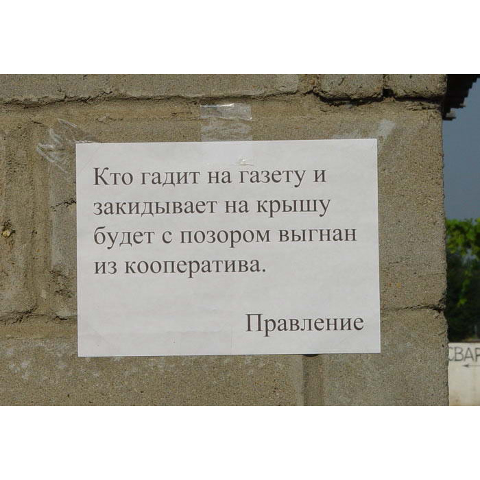 Выгнал с позором. Угарные надписи на газете. Цитаты про позор смешные. Шутки про кооперативы. Позор смешные картинки.