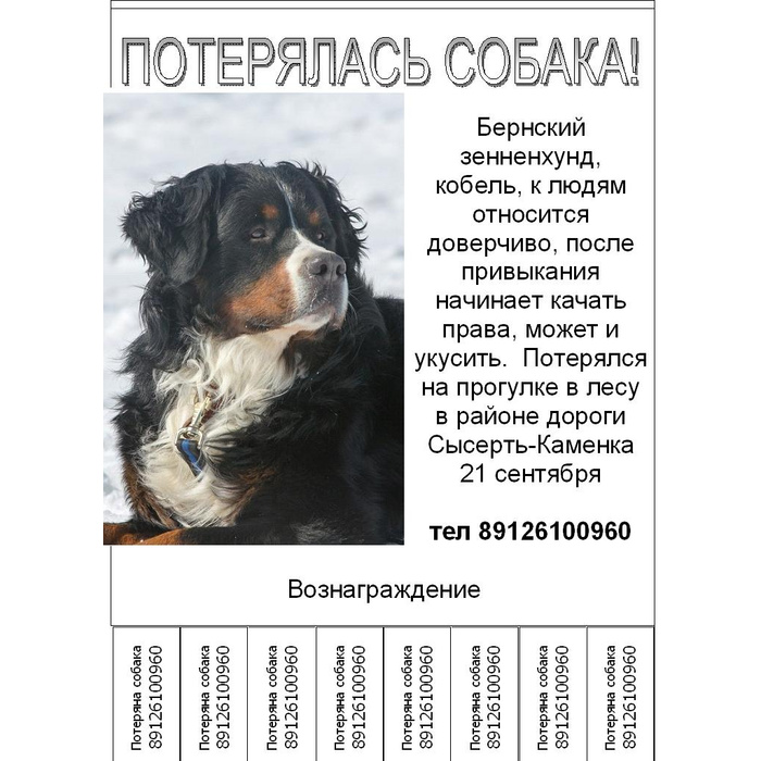 Размеры и масса