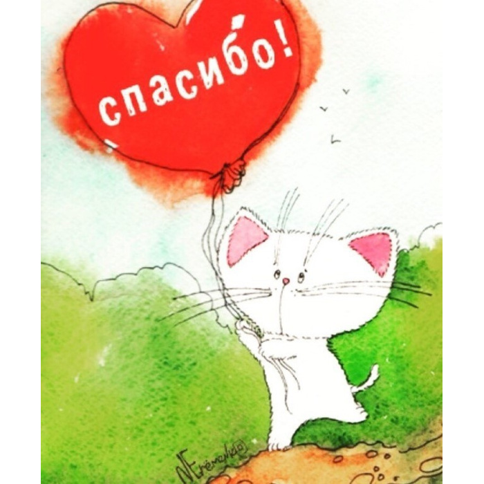 Спасибо котик