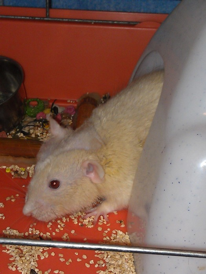 IMAG0800.jpg
