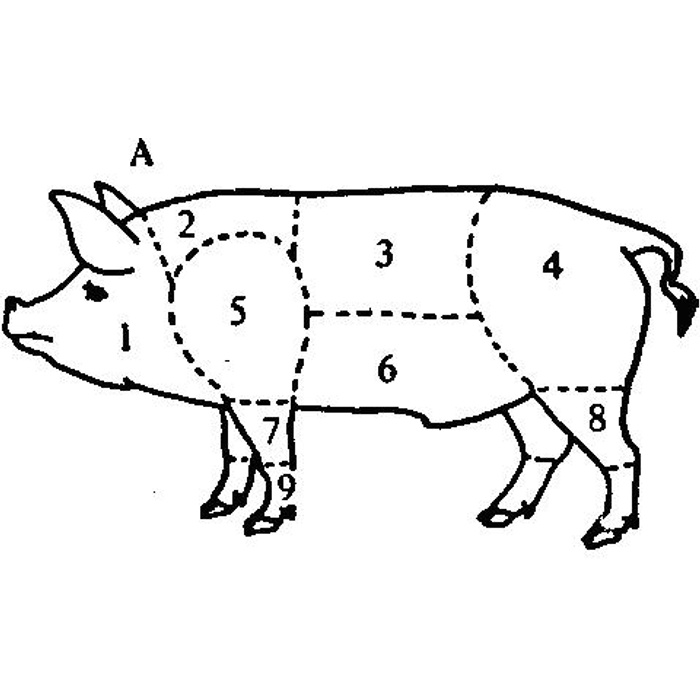 Лучшие части свиньи. Стати тела свиньи. Стати свиньи рисунок. Части тела свиньи схема. Рисунок туши свинины.