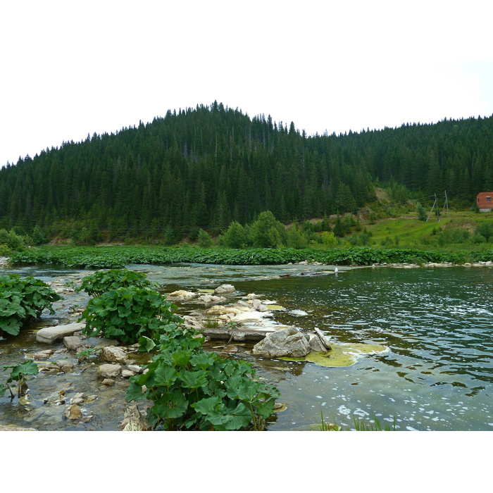 Красный луг красноуфимский район фото