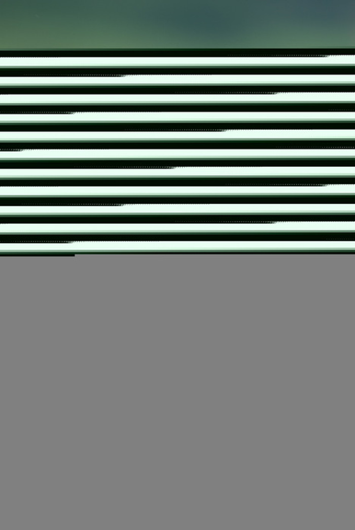 DSC_1669_resize.jpg