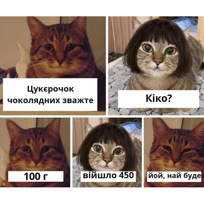 Простофили общий сбор мем с котами