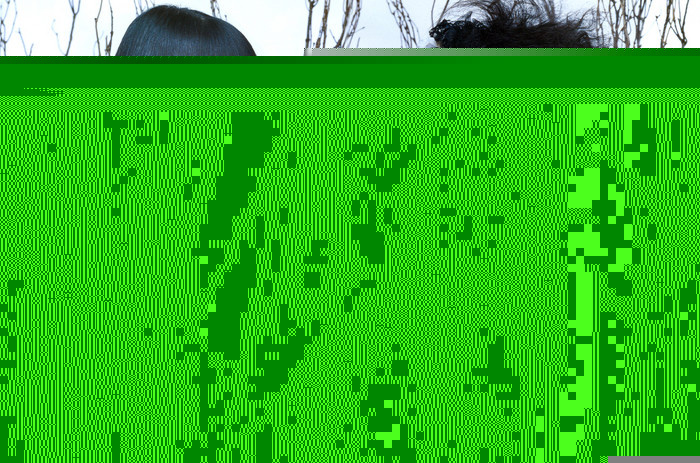 2dfdfgg.jpg