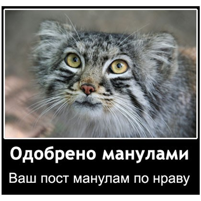 Пришелся по нраву. Цитаты бродяг. Кавказские цитаты со смыслом. Пришелся по нраву. Пришелся по нраву.