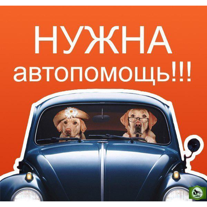 Нужна помощь автоволонтера картинки