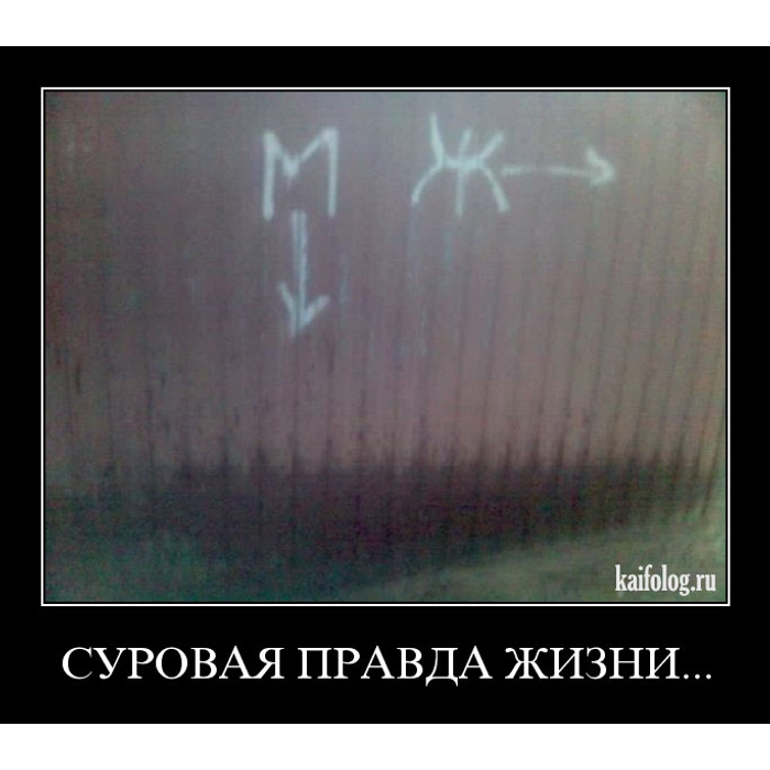 Весело правда. Суровая правда. Правда прикол. Суровая жизнь. Суровая правда картинки