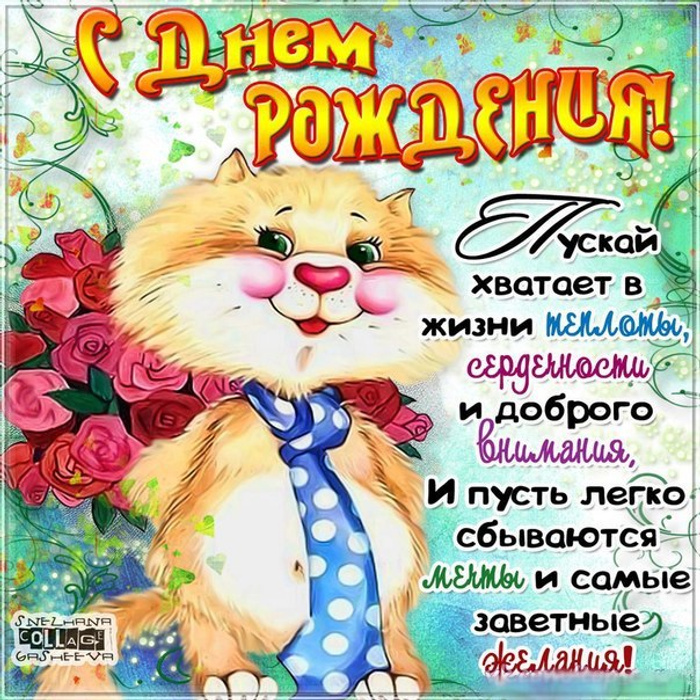 С днем рождения муся картинки прикольные