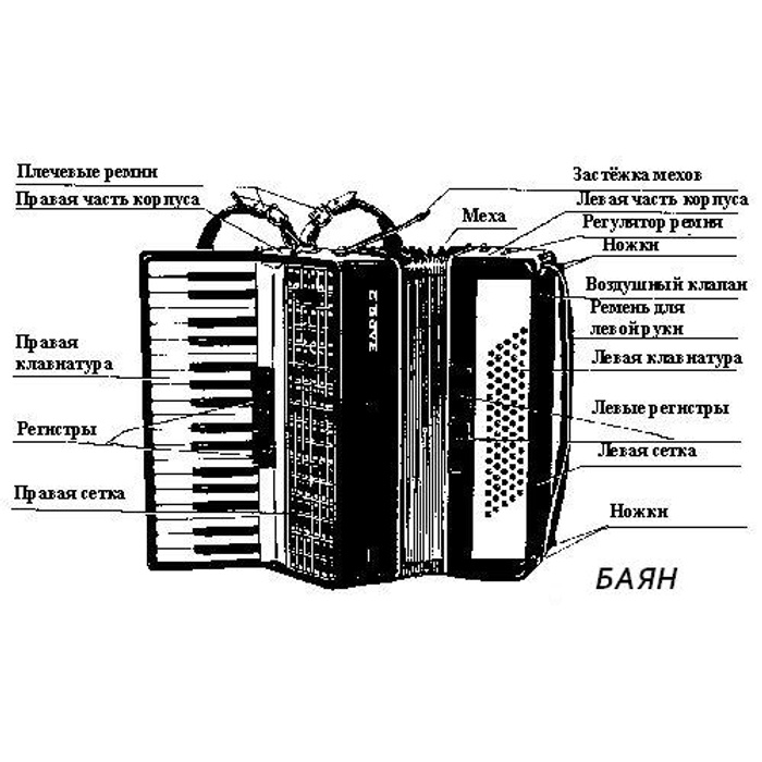 Кнопки на аккордеоне схема