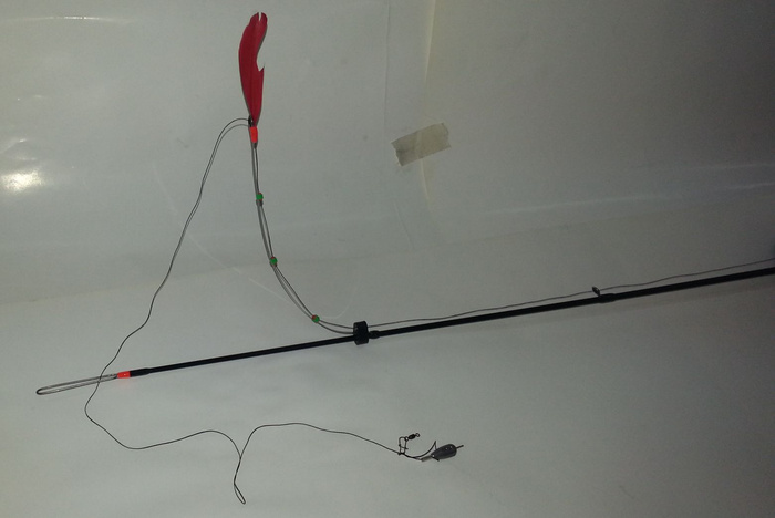 20190201_114805.jpg