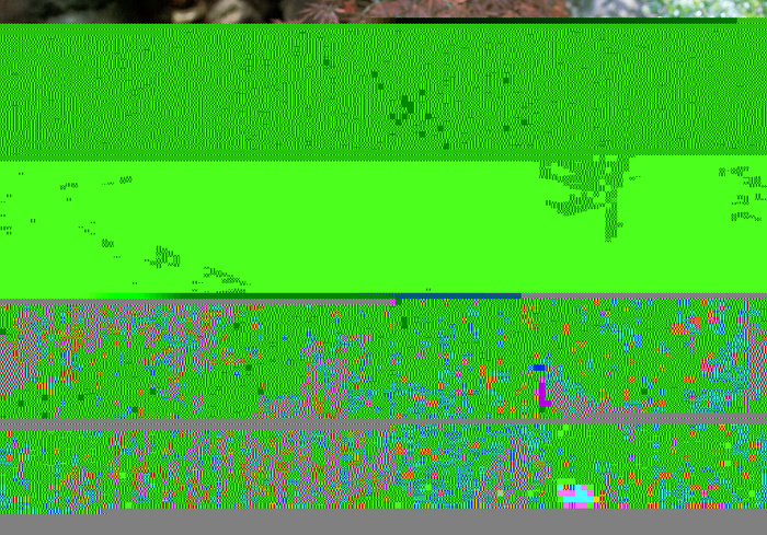 2802337351_c282b8a0ac_b.jpg