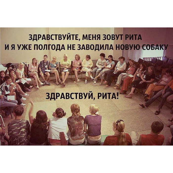 Зови если что. Хитрые коты с надписями. Надпись тут никого нет. Меня нет. Нет меня зовут что.