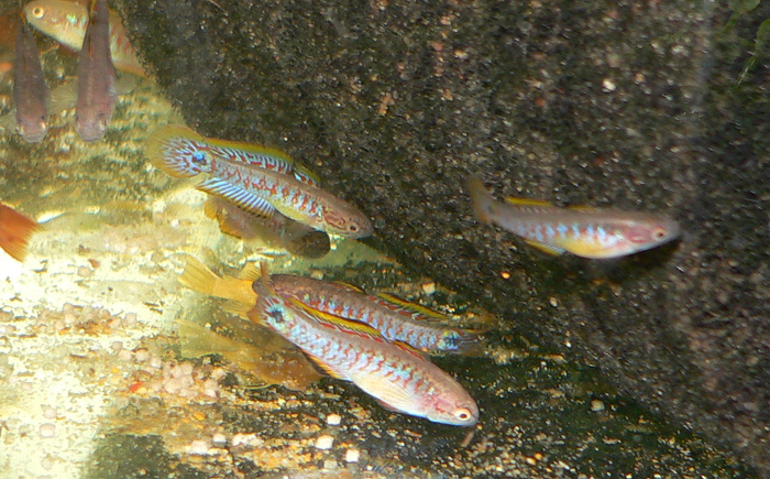 P1100368_cr.jpg