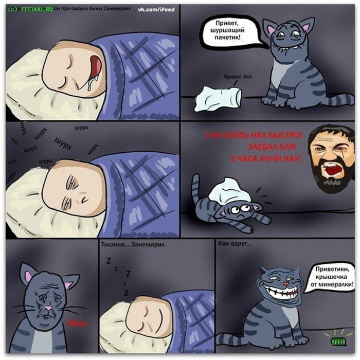 Мемы про котиков