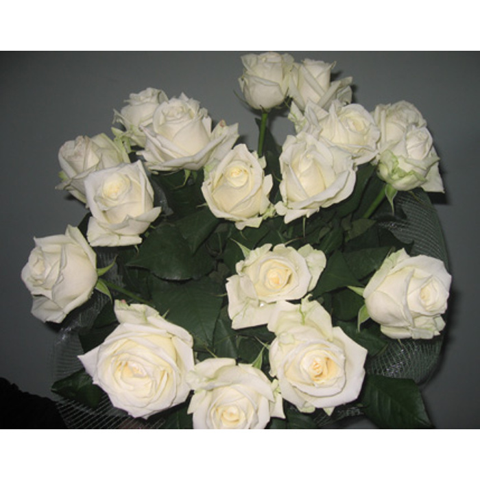 13 белых роз фото
