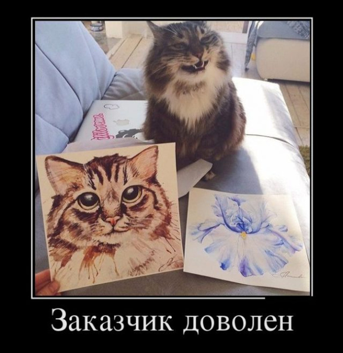 Техзадание качели. Ди каприо проклятый остров мем. То заказчик остается со мной платит. Заказчик демотиватор. Заказчик доволен мем.