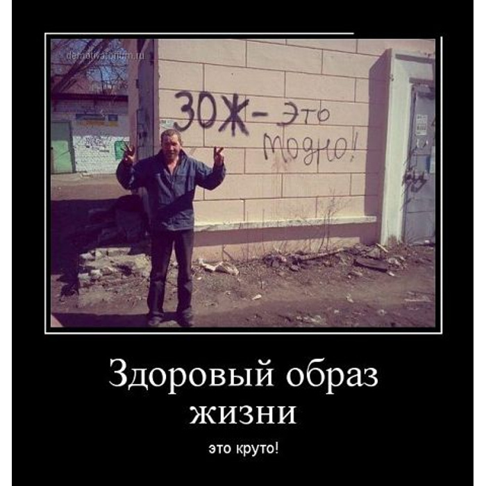 Зож смешные расшифровки