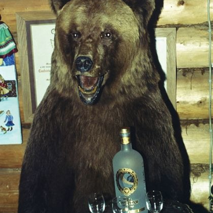 Медведь в шапке ушанке с балалайкой и водкой